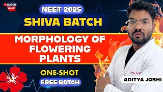 Morphology of Flowering Plants  OneShot  SHIVA BATCH  NEET2025  ADITYA JOSHI neet2025 mbbs [upl. by Nador395]