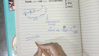 Hemodynamic chapter overview robbins pathology generalpathology haemodynamics patho [upl. by Irahs134]