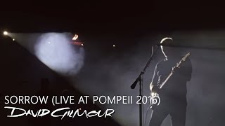 David Gilmour  Sorrow Live At Pompeii [upl. by Herzel]