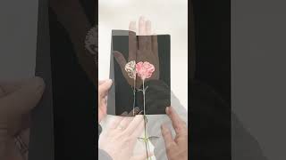 Monoprinting a beautiful carnation [upl. by Synn]