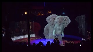 Optoma impresses audiences with a holographic circus experience [upl. by Huda]