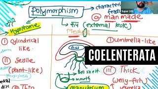 PHYLUM COELENTERATA [upl. by Sirad175]