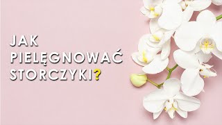 Pielęgnacja storczyków w domu [upl. by Barolet467]