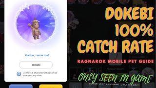 HOW TO CATCH DOKEBI 100 SUCCESS PET GUIDE RAGNAROK M ETERNAL LOVE SEA  ONLY SEEN IN GAME [upl. by Reta]