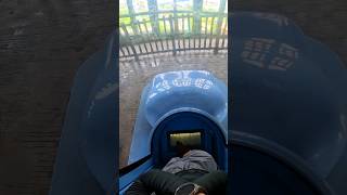 scary trapdoor ride at splashmania [upl. by Sousa]