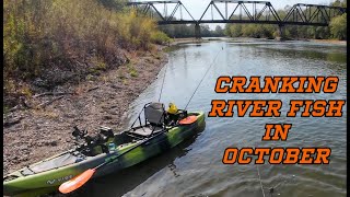 Cranking River Fish In October [upl. by Enois]