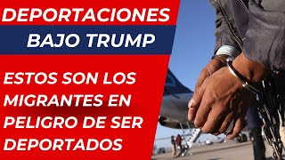 IMPORTANTE ¿qué migrantes están en peligro de deportación una vez que Trump asuma la presidencia [upl. by Shaefer]