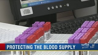 Sarasota blood bank uses technology to flush Zika out of platelets [upl. by Placia346]