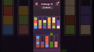 Block King Challenge Level 10 [upl. by Faxon]