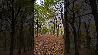 An Autumn Stroll at Temple Newsam Park near Leeds [upl. by Idalla]