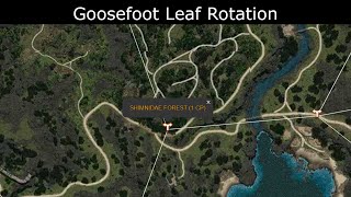 Goosefoot Leaf Rotation In Shimnidae Forest [upl. by Seiber]