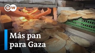 Una panadería reabre sus puertas en Gaza que está al borde de la hambruna [upl. by Amanda]