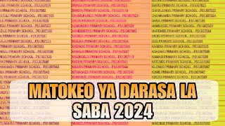 MATOKEO YA DARASA LA SABA 20242025 YAMETOKA  STANDARD SEVEN RESULTS 20242025 [upl. by Ytsirhc]