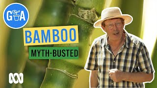 Everything Bamboo  Discovery  Gardening Australia [upl. by Clint376]