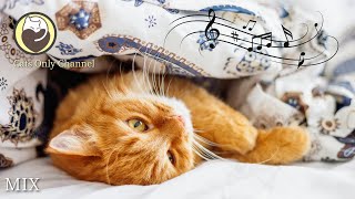 Calming Music for Nervous Cats  Stress Relief Deep Sleep Relaxation Music [upl. by Hieronymus770]