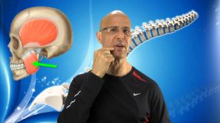 Instant TMJ Relief Maneuver for Jaw Pain Facial Pain amp Headaches  Dr Mandell [upl. by Akemehs]