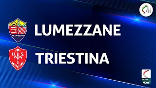 Lumezzane  Triestina 30  Gli Highlights [upl. by Yhtomot]