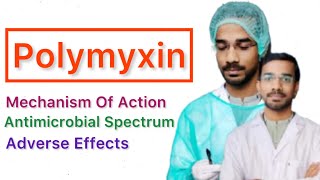 Polymyxin  Mechanism Of Action  Antimicrobial Spectrum  Adverse Effects [upl. by Ylliw]