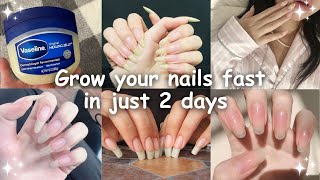 How I GROW MY Nails FASTER in just 2 days 100 working [upl. by Dorothi]