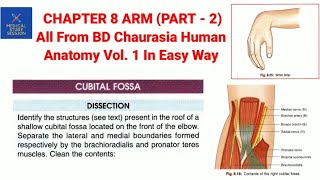 Chapter 8 ARM part  2 all from Bd chaurasia human anatomy volume 1 [upl. by Reitrac164]