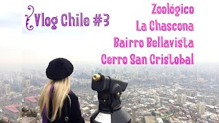 Vlog Chile 3  Bairro Bellavista La Chascona Cerro e Zoológico [upl. by Ecirtac]