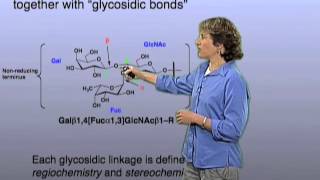 Glycan linkage  Carolyn Bertozzi Berkeley [upl. by Deidre]