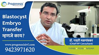 What is Blastocyst Transfer Marathi [upl. by Lepp]