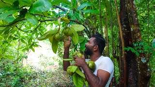 Traditional village Elephant Apple recipe  Dillenia Indica  Hondapara Recipe😋 [upl. by Vally]