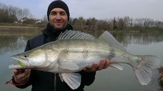 Somni pe echipament de salau Catfish vs zander rod [upl. by Enelrad]