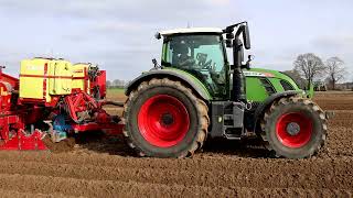 Fendt 718 mit Grimme GL 430 beim Kartoffel pflanzen [upl. by Celestina]