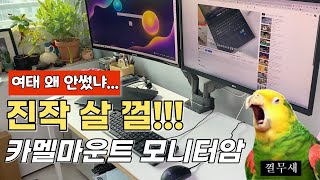 역체감 미쳤네 모니터 암 제발 쓰세요 카멜마운트 듀얼 모니터암 DMADSS [upl. by Allit]