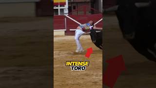 The Most Intense Bullfighting Event [upl. by Omixam570]