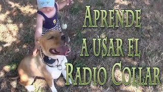 Aprendiendo a usar el Radio Collar Curso de Adiestramiento Online wwwcanineservicecom [upl. by Lomasi354]