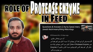 Feed Formulation my Protease Enzyme kia role play krta hy  Role of Protease Enzyme in Feed 🐓🐔🐤🥚 [upl. by Ahsiek]