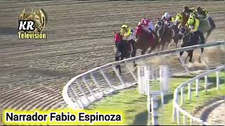 🏆Gran Premio Clásico Internacional quotSimón Bolivarquot 2024 Que Gane Carrera [upl. by Patt38]