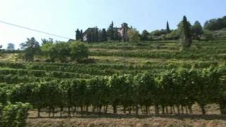 Franciacorta Wine  Italy [upl. by Nyltiak]