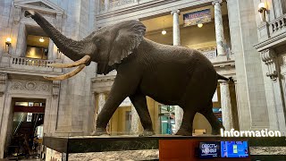 Our Tour of the Smithsonian National Museum of Natural History  The Real Hope Diamond [upl. by Novets349]