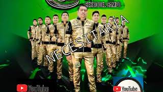 NECESITARIA  BANDA CERRITOS ESTRENO 2019 [upl. by Melicent]