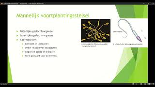 Klas 23 HV Thema 4 Voortplanting amp Seksualiteit Basisstof 3 mannelijk voortplantingsstelsel [upl. by Ayisan150]