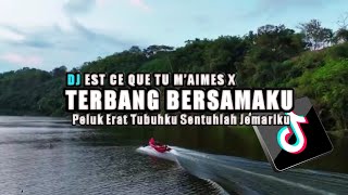 DJ EST CE QUE TU M’AIMES X TERBANG BERSAMAKU Peluk Erat Tubuhku Sentuhlah Jemariku [upl. by Noreen]