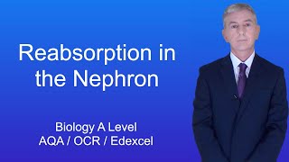 A Level Biology Revision Year 13 quotReabsorption in the Nephronquot [upl. by Anielram]