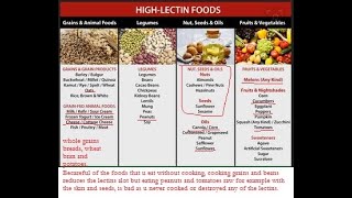 Healthy food chart for Lectins antinutrient [upl. by Dranyer491]