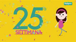 25° settimana di gravidanza [upl. by Danice]