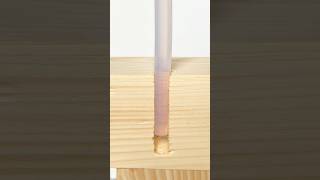 Screw into silicone construction woodworking [upl. by Octavius]