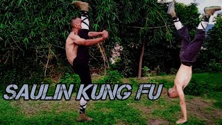 Saulin Kung fu Video By Kailash Lo Kung fu dremo tresan [upl. by Palmira]