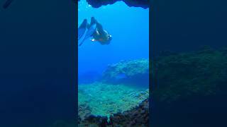 Quick underwater cave dive🧜‍♀️ freediver freediving underwater mermaid siren oceanlife caves [upl. by Erickson]