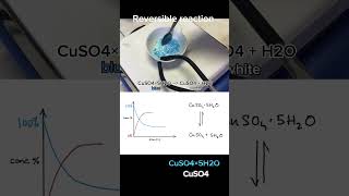 Reversible Reactions equilibrium chemistry [upl. by Eesac]