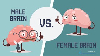 Male Brain vs Female Brain What is the Big Difference [upl. by Rigdon]