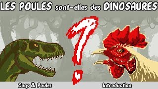 LES POULES SONTELLES DES DINOSAURES Et autres fun facts sur nos amis gallinacés [upl. by Charlean121]