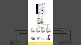 How MCCB Functions as a Main Switch for Multiple MCBs and Circuits [upl. by Hazmah]